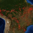 Amazonas Waldbrände Rekordfläche