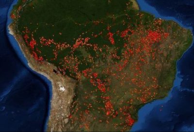 Amazonas Waldbrände Rekordfläche