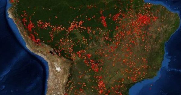 Amazonas Waldbrände Rekordfläche