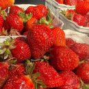 Preise gestiegen Erdbeeren