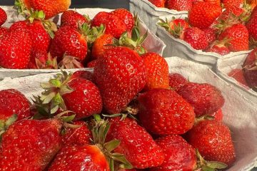 Preise gestiegen Erdbeeren